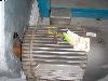  Electric Motors by Siemens, Marathon, Westinghouse, etc.